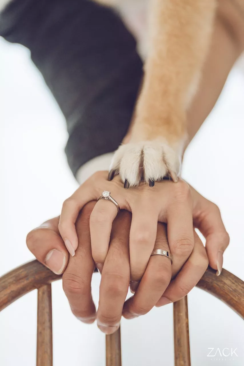 婚紗攝影師Zack.Xu.維澤30-【婚紗攝影】俊賢　∞　詩婷婚紗照